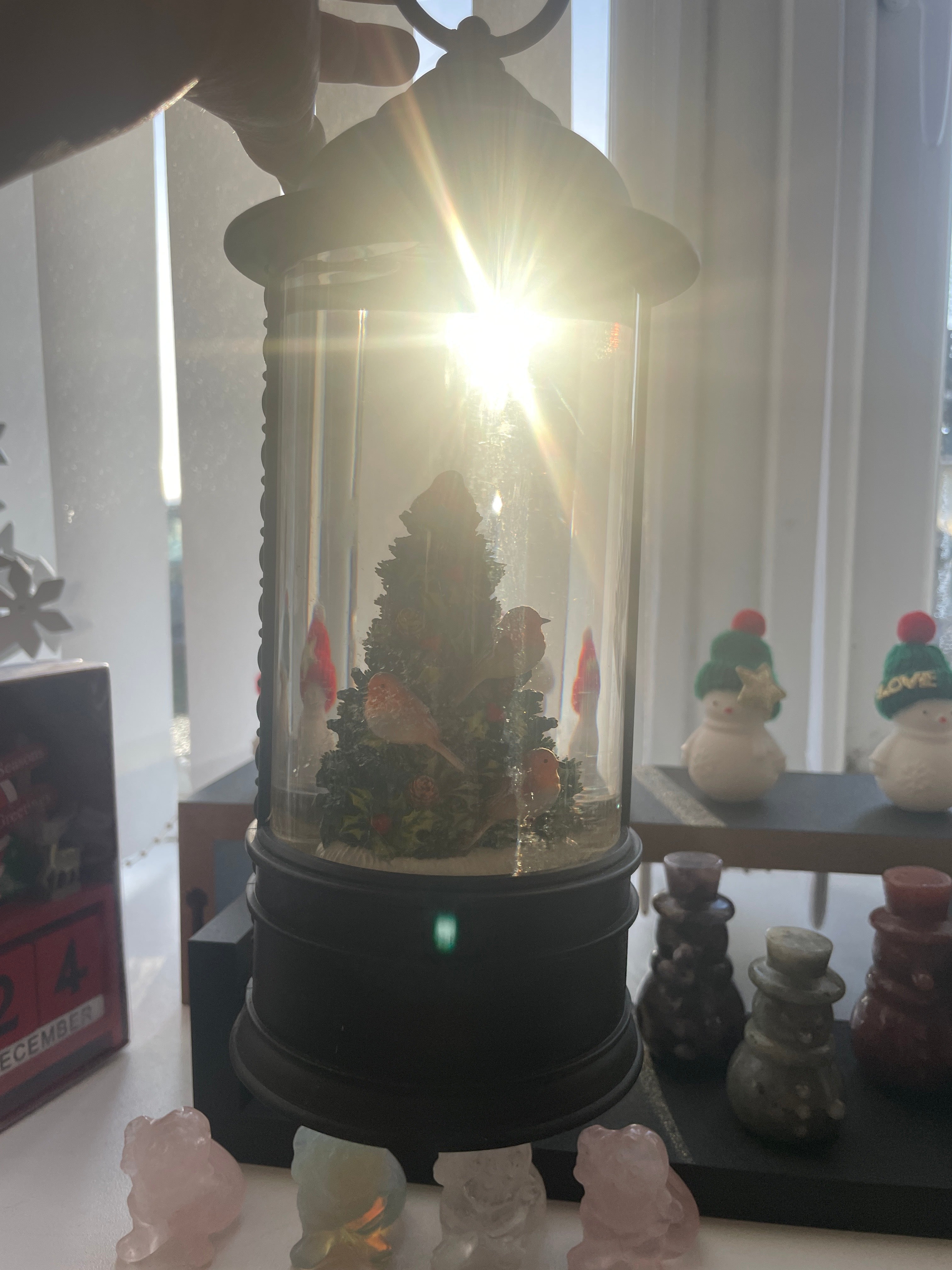 Snowglobe (Robin) (lights up- battery operated)